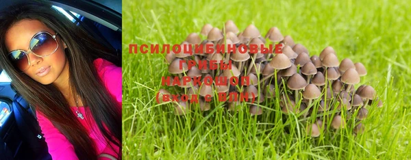 крисы Армянск