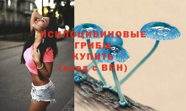 мдпв Арсеньев