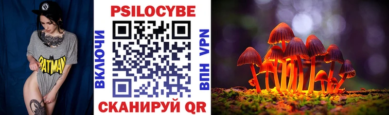 Галлюциногенные грибы мухоморы  сколько стоит  Змеиногорск 
