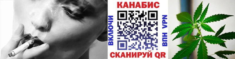Бошки марихуана индика  Змеиногорск 